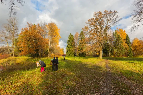 Sonbahar parkta Genel Kurul uygulama  