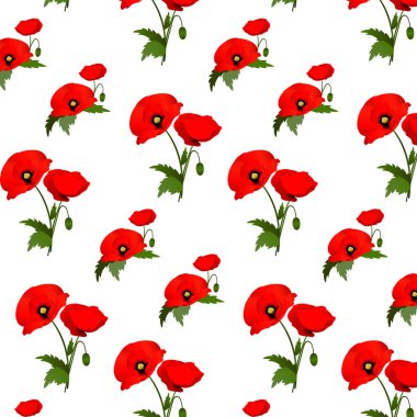 Arka plan ile haşhaş çiçekleri