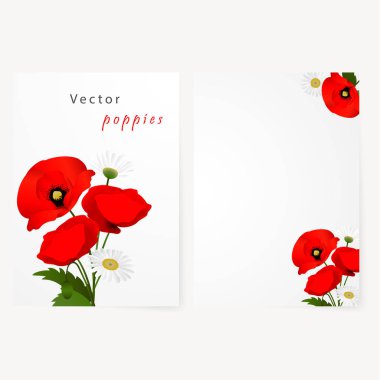 Papatya ve kırmızı çiçek haşhaş ile kartı