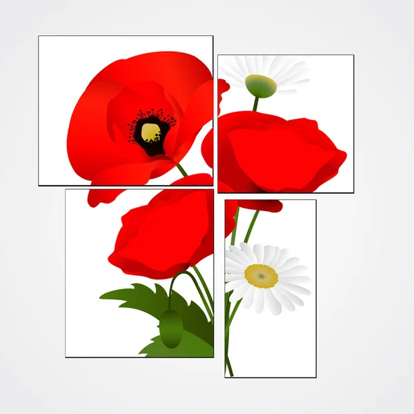 Weißer Hintergrund mit Kamille und Mohn — Stockfoto