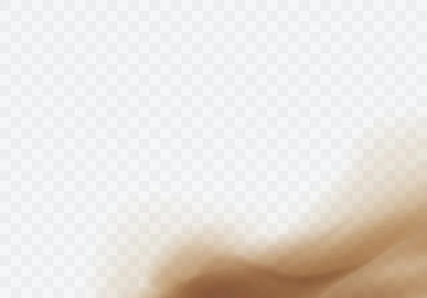 Pustynna Burza piaskowa, brązowa, zakurzona chmura na przezroczystym — Wektor stockowy