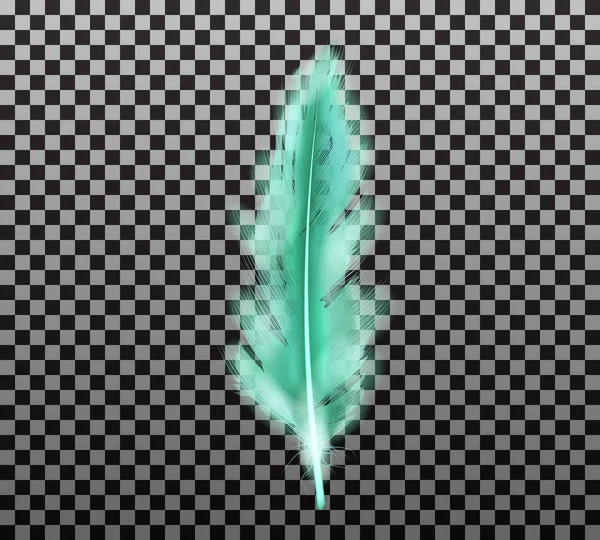Couleur vert plume pelucheuse vecteur réaliste — Image vectorielle