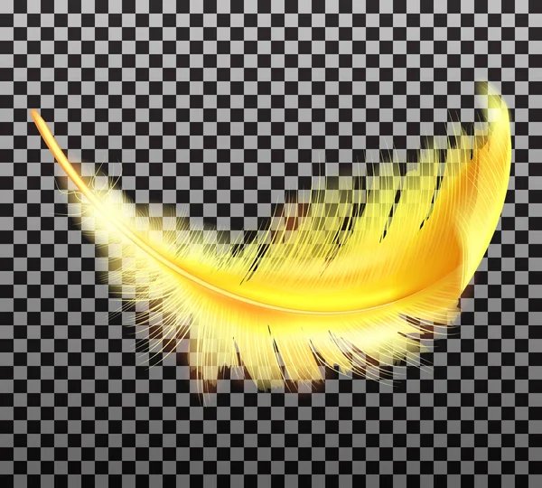 Color golden fluffy feather vector realistic — Stock Vector
