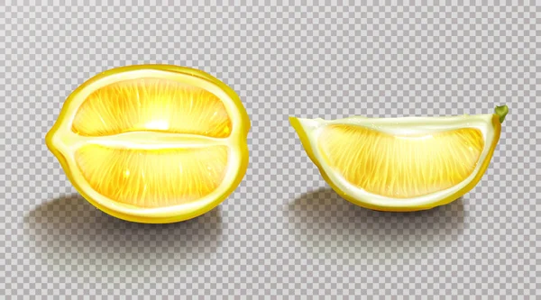 柠檬片柑橘，阴影逼真 — 图库矢量图片