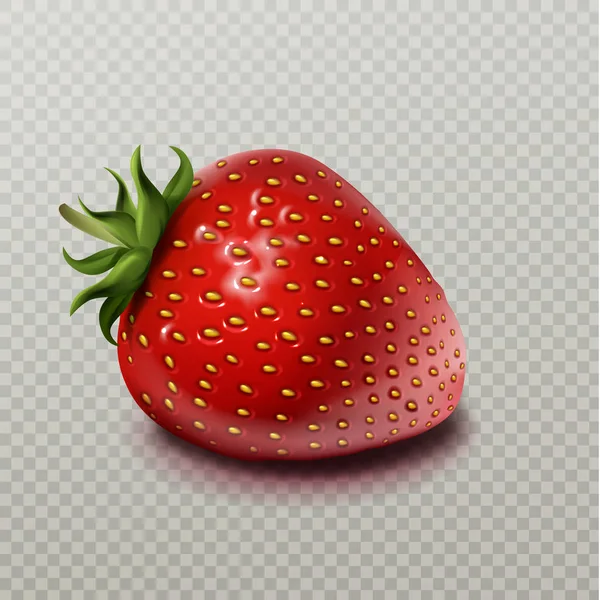 Strawberry with green leaf isolated on transparent — 스톡 벡터