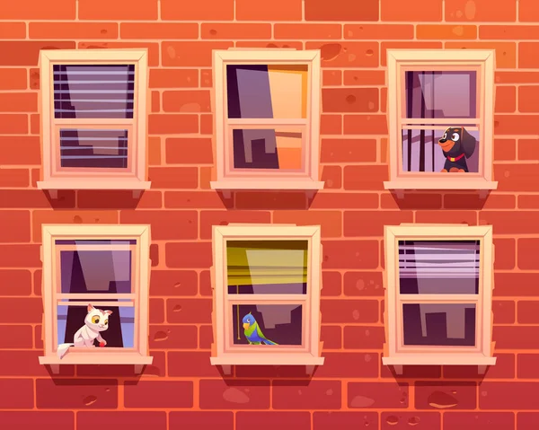 Huisdieren in ramen, kat, hond en papegaai op vensterbank — Stockvector