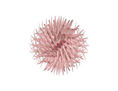 3D gerçekçi pembe beyaz virüs mikroskop altında, 2019-nCoV koronavirüs enfeksiyonu bakterisi beyaz arka planda.