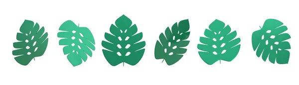 Feuille Rendu Monstera Tropicale Minimalisme Dans Style Dessin Animé Modèle — Photo