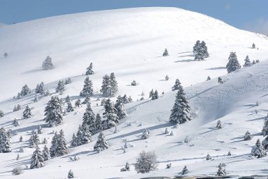 Kalavryta 'nın kayak merkezi, Helmos Dağı Kalavryta, Yunanistan.