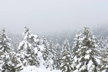 Kalavryta 'nın kayak merkezi, Helmos Dağı Kalavryta, Yunanistan.