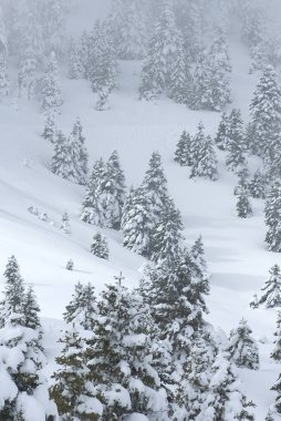 Kalavryta 'nın kayak merkezi, Helmos Dağı Kalavryta, Yunanistan.
