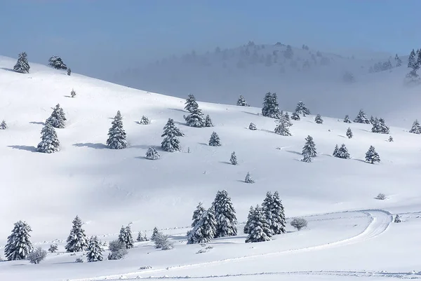 Kalavryta 'nın kayak merkezi, Helmos Dağı Kalavryta, Yunanistan.