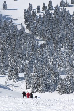 Kalavryta 'nın kayak merkezi, Helmos Dağı Kalavryta, Yunanistan.