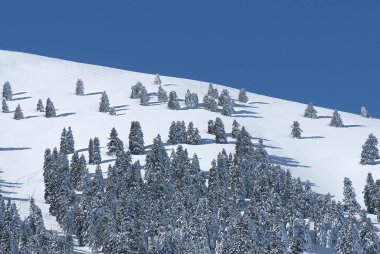 Kalavryta 'nın kayak merkezi, Helmos Dağı Kalavryta, Yunanistan.