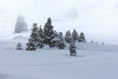 Kalavryta 'nın kayak merkezi, Helmos Dağı Kalavryta, Yunanistan.