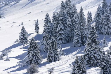 Kalavryta 'nın kayak merkezi, Helmos Dağı Kalavryta, Yunanistan.