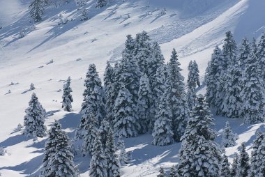 Kalavryta 'nın kayak merkezi, Helmos Dağı Kalavryta, Yunanistan.