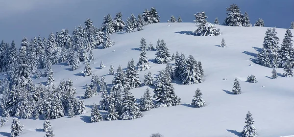 Het Skicentrum Van Kalavryta Helmos Berg Kalavryta Griekenland — Stockfoto