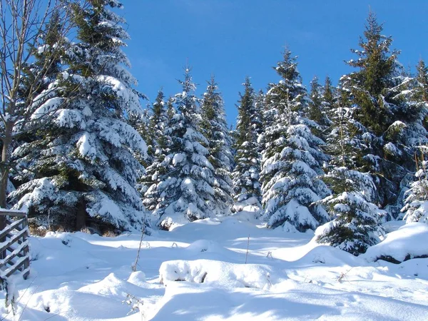 Kalavryta 'nın kayak merkezi, Helmos Dağı Kalavryta, Yunanistan.