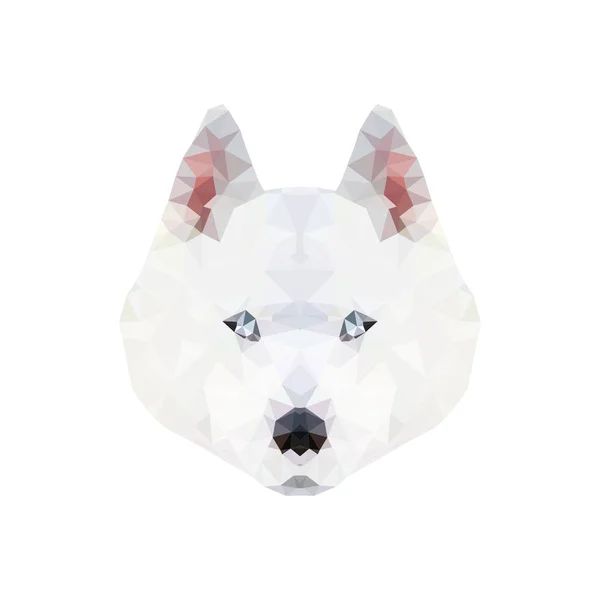 Husky. graphiques polygonaux. illustration vectorielle — Image vectorielle