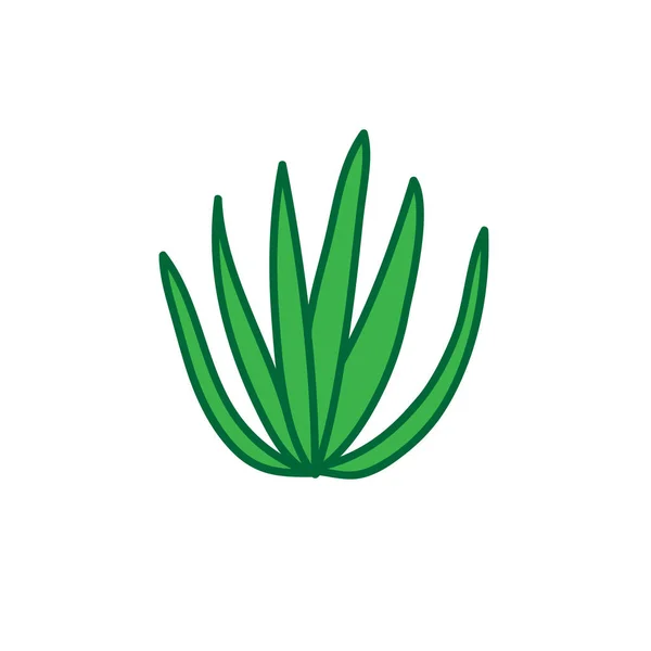 Agave doodle icoon, vectorillustratie — Stockvector