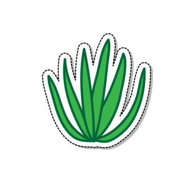 agave doodle simgesi, vektör illüstrasyonu