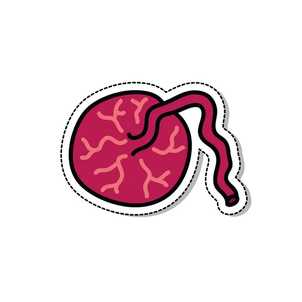 Placenta firka ikon, vektor illusztráció — Stock Vector