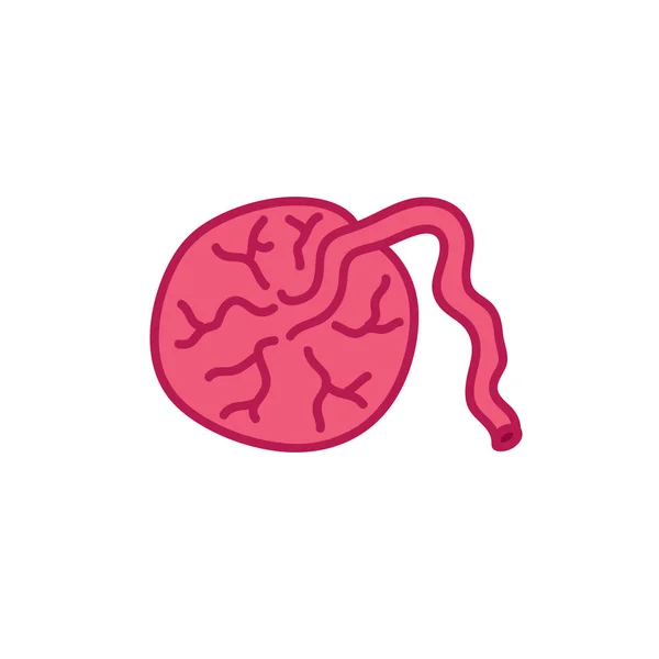 Icono de garabato placenta, ilustración vectorial — Archivo Imágenes Vectoriales