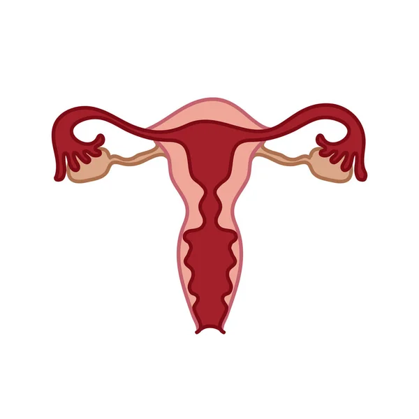 Uterus-Doodle-Symbol, Vektorillustration — Stockvektor