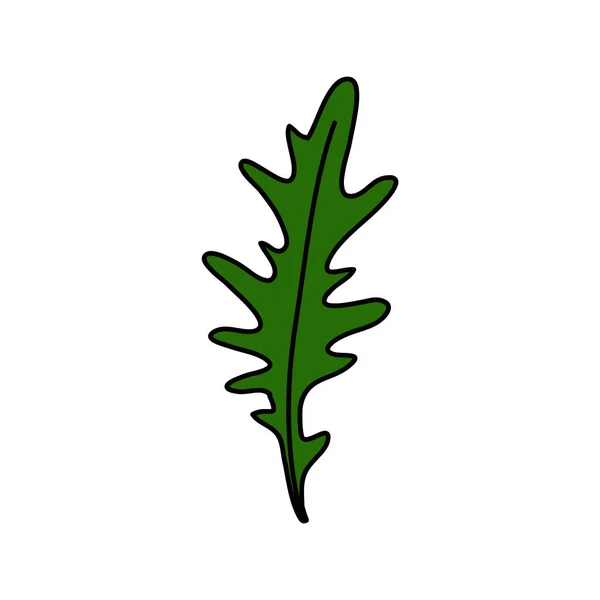 Arugula doodle icono, ilustración vectorial — Vector de stock