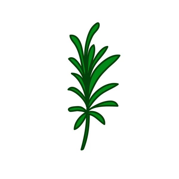 Ikona bazgrołów rozmarynu, ilustracja wektora — Wektor stockowy