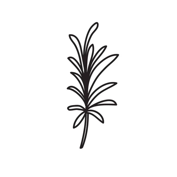 Ikona bazgrołów rozmarynu, ilustracja wektora — Wektor stockowy