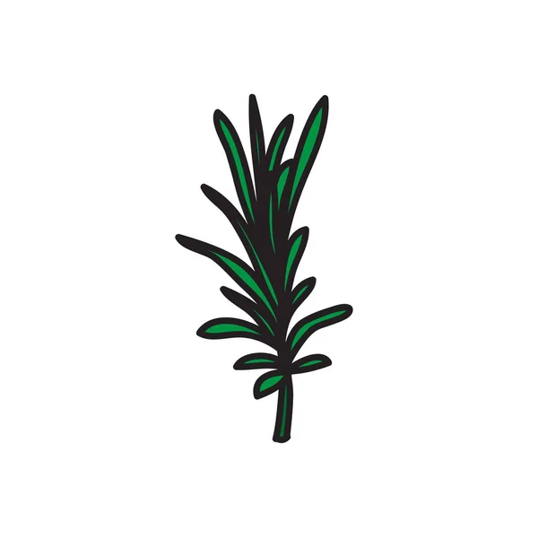 Rosemary doodle icon, vector illustration — 스톡 벡터