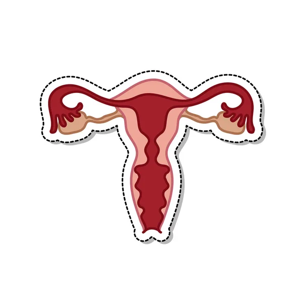 Icône de doodle utérus, illustration vectorielle — Image vectorielle
