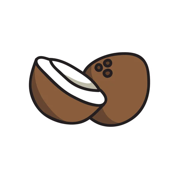 Icono de garabato de coco, ilustración de vectores — Vector de stock