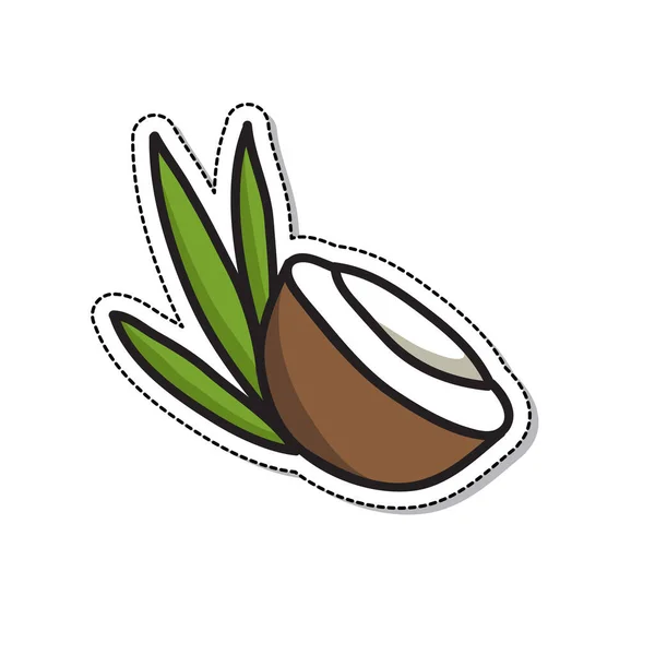 Ícone de doodle de coco, ilustração vetorial — Vetor de Stock