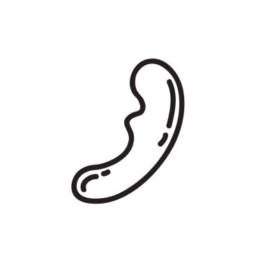 dildo sex toy doodle icon, vector illustration