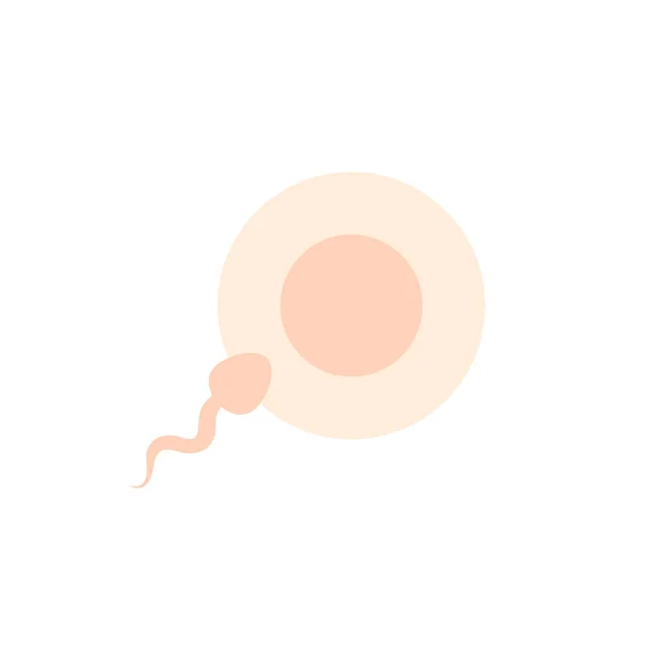 Flaches Symbol für Spermien und Eizellen, Vektorillustration — Stockvektor