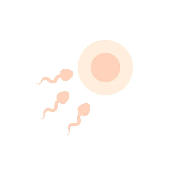 Fertilized Eggストックベクター ロイヤリティフリーfertilized Eggイラスト ページ 2 Depositphotos