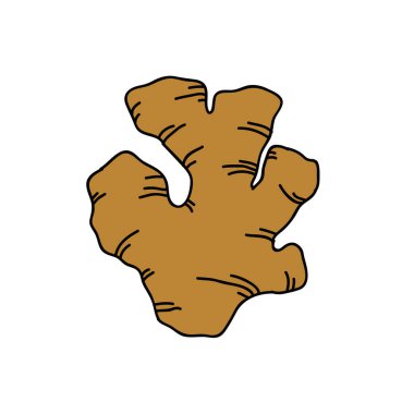 Zencefil kökü karalama simgesi, vektör illüstrasyonu