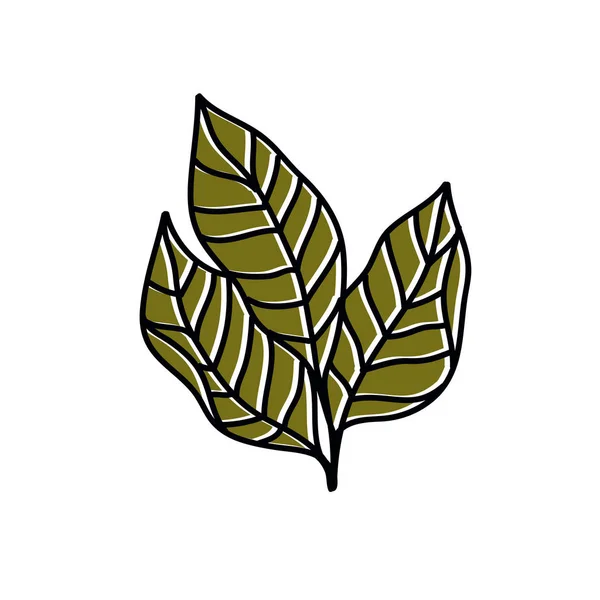 Иконка из листьев табака, векторная иллюстрация — стоковый вектор