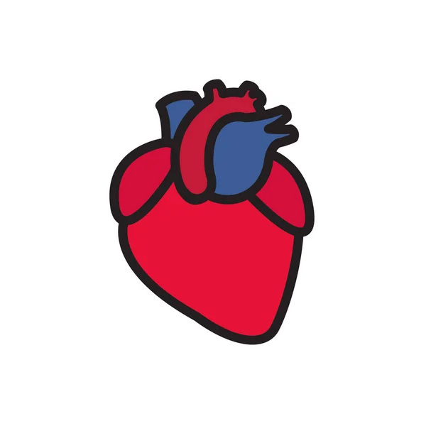 Menschliches Herz Doodle Symbol Vektorfarbenillustration — Stockvektor