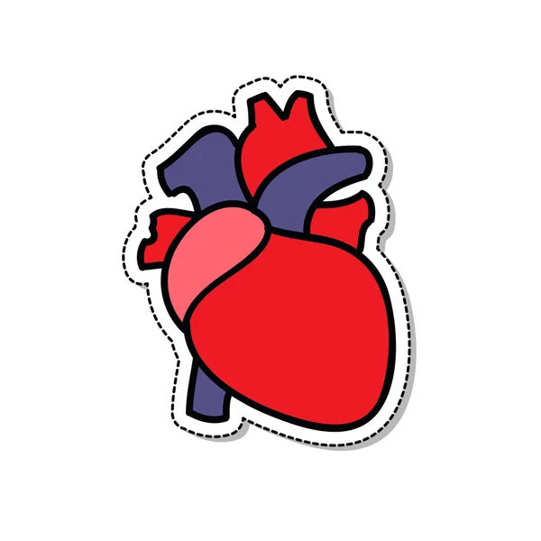 Menschliches Herz Doodle Symbol Vektorfarbenillustration — Stockvektor