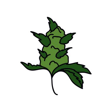 marijuana tomurcuk karalama simgesi, vektör rengi çizimi