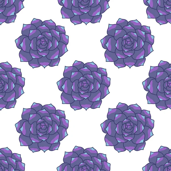 Motif Doodle Sans Couture Succulent Illustration Vectorielle Couleur — Image vectorielle