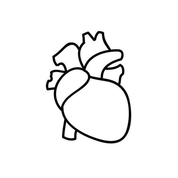 Human heart doodle icon, vector illustration — Stock Vector