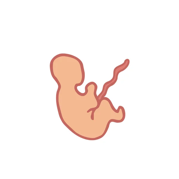 Εικονίδιο Φιγούρας Εμβρύου Διανυσματική Απεικόνιση — Διανυσματικό Αρχείο