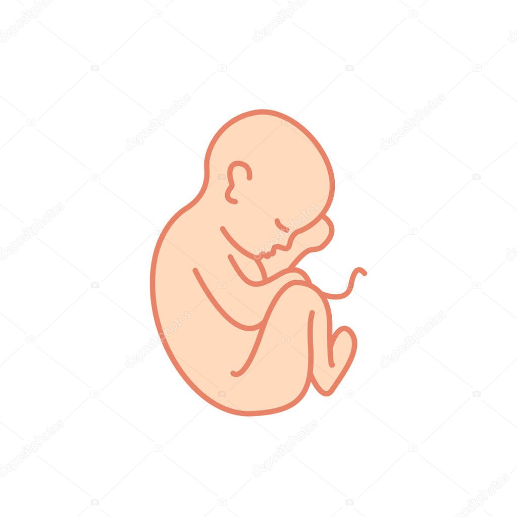 fetus doodle icon, vector color illustration