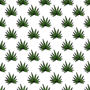 agave dipsiz karalama deseni, vektör renk çizimi