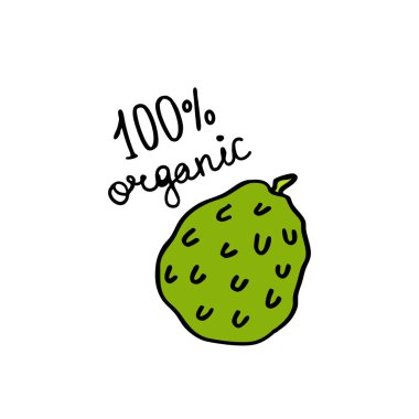 cherimoya doodle simgesi, vektör renk çizimi